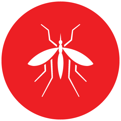 mosquitos