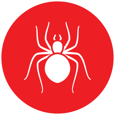 spiders_AdvancedPestManagement-03 spiders